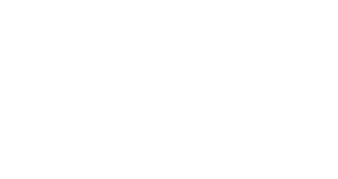 VAPS EDV
